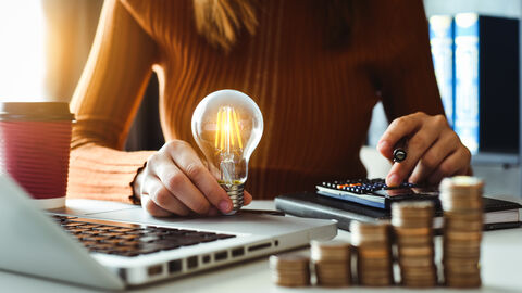 Eine Frau sitzt mit Taschenrechner und Glühbirne vor einem Laptop, davor aufgestapelte Münzen.