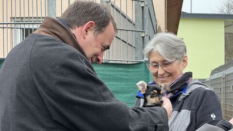 Alexander Lorz streichelt Welpen.