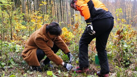Europaministerin bei der Baumpflanzung mit Auszubildenden und Mitarbeitern von HessenForst Europaministerin bei der Baumpflanzung mit Auszubildenden und Mitarbeitern von HessenForst